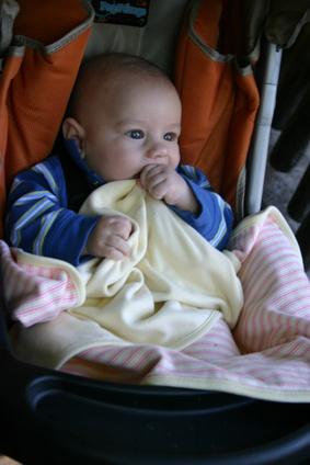 What is the WIC car seat program?